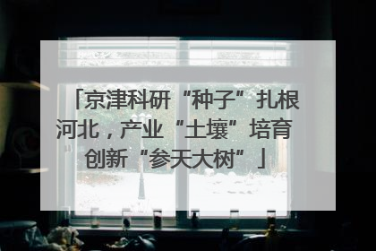 京津科研“种子”扎根河北，产业“土壤”培育创新“参天大树”