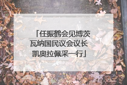 任振鹤会见博茨瓦纳国民议会议长凯奥拉佩采一行