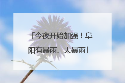今夜开始加强！阜阳有暴雨、大暴雨