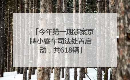 今年第一期涉案京牌小客车司法处置启动，共618辆