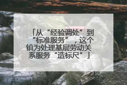 从“经验调处”到“标准服务”，这个镇为处理基层劳动关系服务“造标尺”