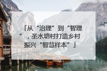 从“治理”到“智理”，圣水塘村打造乡村振兴“智慧样本”