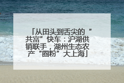 从田头到舌尖的“共富”快车：沪湖供销联手，湖州生态农产“圈粉”大上海