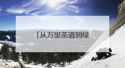从万里茶道到绿满山乡 安化黑茶的生态致富路