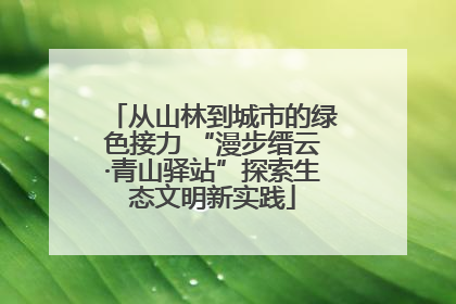 从山林到城市的绿色接力 “漫步缙云·青山驿站”探索生态文明新实践