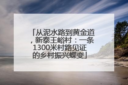 从泥水路到黄金道，新泰王峪村：一条1300米村路见证的乡村振兴蝶变