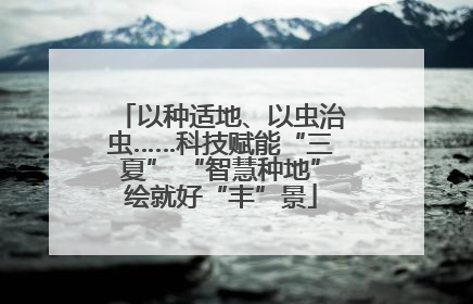 以种适地、以虫治虫……科技赋能“三夏” “智慧种地”绘就好“丰”景