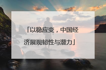 以稳应变，中国经济展现韧性与潜力