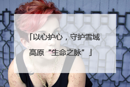 以心护心，守护雪域高原“生命之脉”