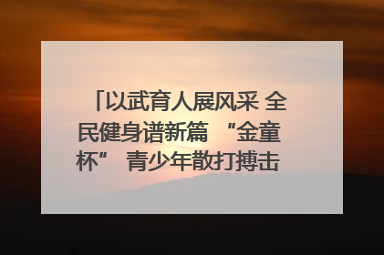 以武育人展风采 全民健身谱新篇 “金童杯” 青少年散打搏击邀请赛圆满落幕