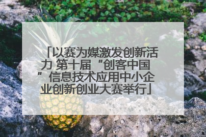 以赛为媒激发创新活力 第十届“创客中国”信息技术应用中小企业创新创业大赛举行