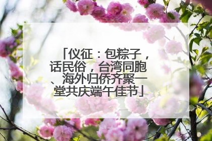 仪征：包粽子，话民俗，台湾同胞、海外归侨齐聚一堂共庆端午佳节