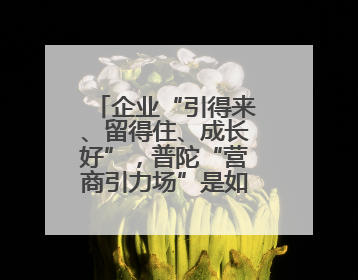 企业“引得来、留得住、成长好”，普陀“营商引力场”是如何炼就的