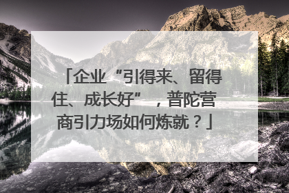企业“引得来、留得住、成长好”，普陀营商引力场如何炼就？