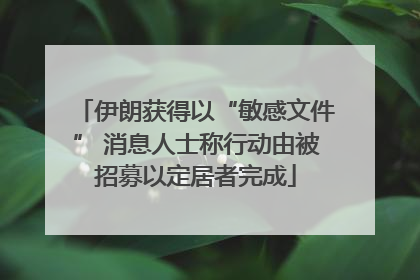 伊朗获得以“敏感文件” 消息人士称行动由被招募以定居者完成