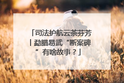 司法护航云茶芬芳丨勐腊易武“断案碑”有啥故事？