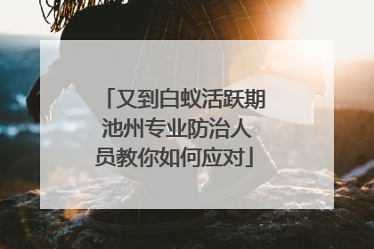 又到白蚁活跃期 池州专业防治人员教你如何应对