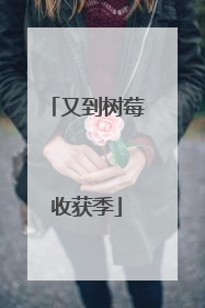 又到树莓收获季