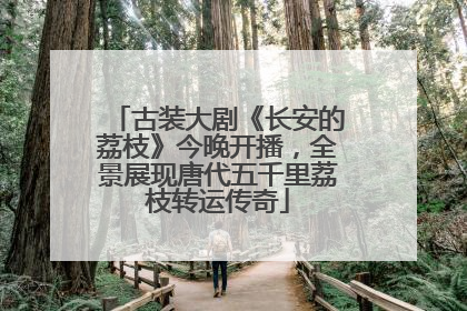 古装大剧《长安的荔枝》今晚开播，全景展现唐代五千里荔枝转运传奇