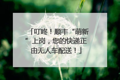 叮咚！顺丰“萌新”上岗，您的快递正由无人车配送！