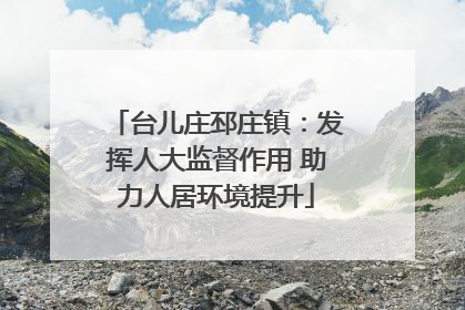 台儿庄邳庄镇：发挥人大监督作用 助力人居环境提升