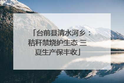 台前县清水河乡：秸秆禁烧护生态 三夏生产保丰收