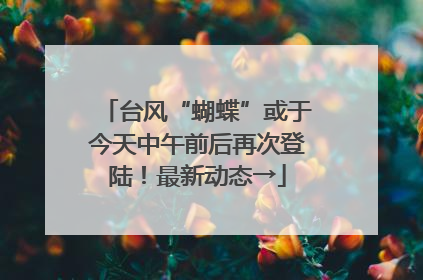 台风“蝴蝶”或于今天中午前后再次登陆！最新动态→