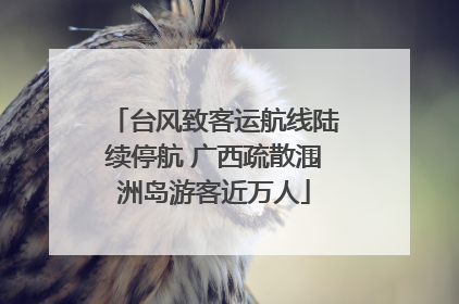 台风致客运航线陆续停航 广西疏散涠洲岛游客近万人