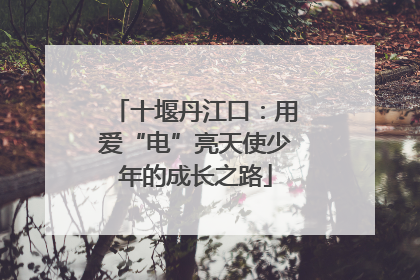 十堰丹江口：用爱“电”亮天使少年的成长之路