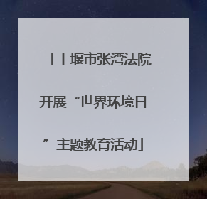 十堰市张湾法院开展“世界环境日”主题教育活动