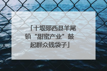 十堰郧西县羊尾镇“甜蜜产业”鼓起群众钱袋子