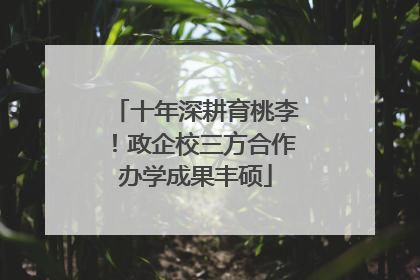 十年深耕育桃李！政企校三方合作办学成果丰硕
