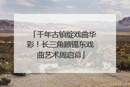 千年古镇绽戏曲华彩！长三角顾锡东戏曲艺术周启幕