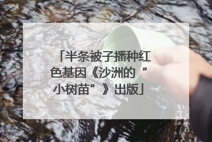 半条被子播种红色基因《沙洲的“小树苗”》出版