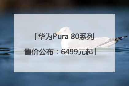 华为Pura 80系列售价公布：6499元起