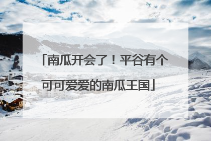 南瓜开会了！平谷有个可可爱爱的南瓜王国