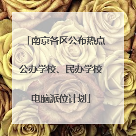 南京各区公布热点公办学校、民办学校电脑派位计划