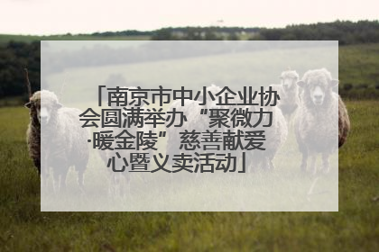 南京市中小企业协会圆满举办“聚微力·暖金陵”慈善献爱心暨义卖活动