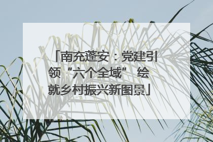 南充蓬安：党建引领“六个全域” 绘就乡村振兴新图景