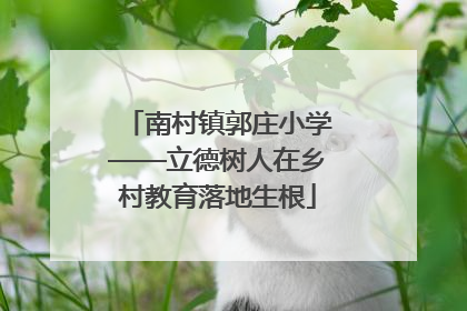 南村镇郭庄小学——立德树人在乡村教育落地生根