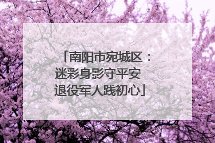 南阳市宛城区：迷彩身影守平安 退役军人践初心