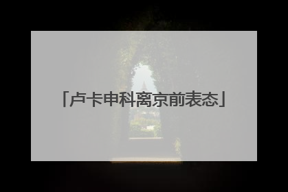 卢卡申科离京前表态