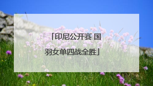 印尼公开赛 国羽女单四战全胜