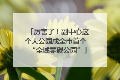 厉害了！副中心这个大公园成全市首个“全域零碳公园”