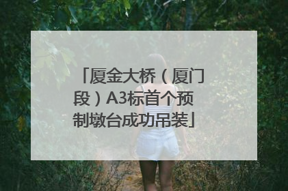 厦金大桥（厦门段）A3标首个预制墩台成功吊装