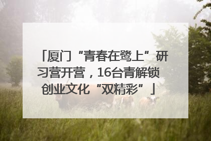 厦门“青春在鹭上”研习营开营，16台青解锁创业文化“双精彩”