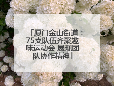 厦门金山街道：75支队伍齐聚趣味运动会 展现团队协作精神
