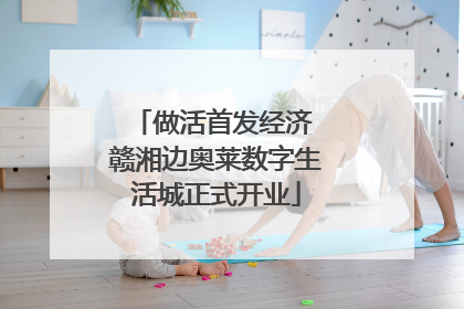 做活首发经济 赣湘边奥莱数字生活城正式开业