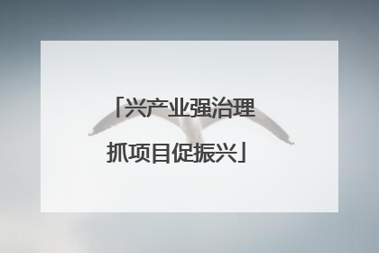 兴产业强治理 抓项目促振兴