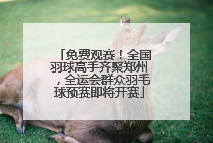 免费观赛！全国羽球高手齐聚郑州，全运会群众羽毛球预赛即将开赛